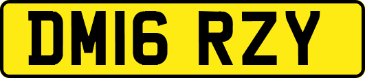 DM16RZY