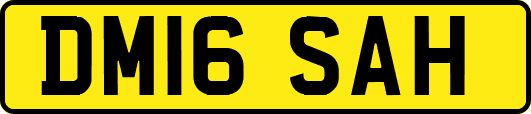 DM16SAH