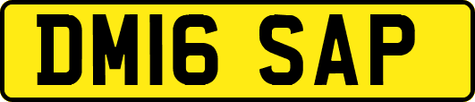 DM16SAP