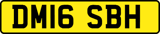 DM16SBH