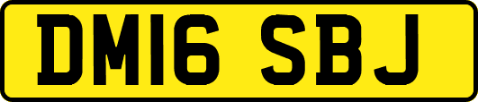DM16SBJ