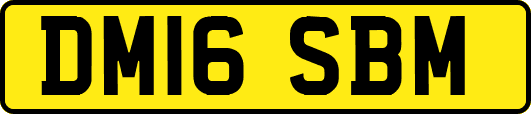 DM16SBM