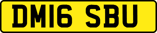 DM16SBU