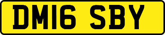 DM16SBY