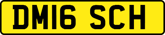 DM16SCH