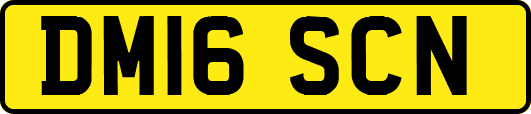 DM16SCN