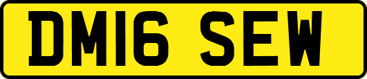DM16SEW