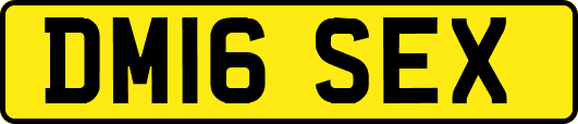 DM16SEX
