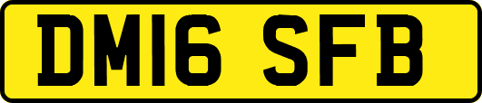 DM16SFB