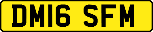 DM16SFM