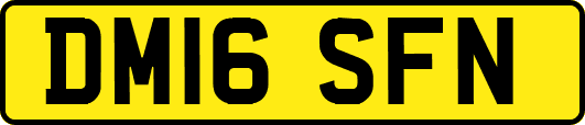 DM16SFN
