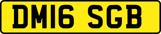 DM16SGB