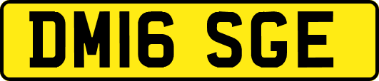 DM16SGE