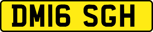 DM16SGH
