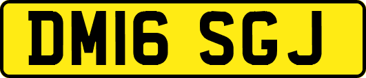 DM16SGJ
