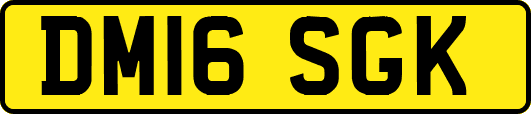 DM16SGK