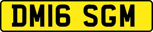 DM16SGM