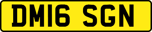 DM16SGN