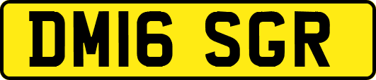 DM16SGR