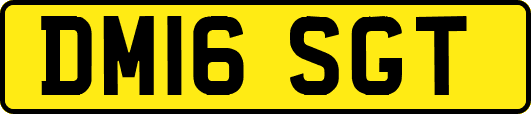 DM16SGT