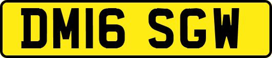 DM16SGW