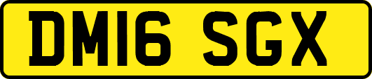 DM16SGX
