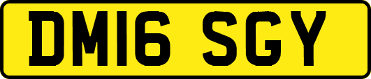 DM16SGY