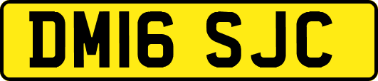 DM16SJC