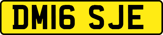 DM16SJE