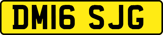 DM16SJG