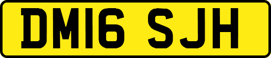 DM16SJH