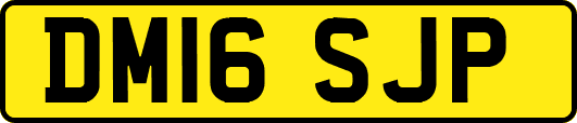 DM16SJP