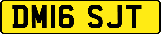 DM16SJT