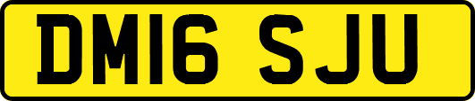 DM16SJU