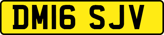 DM16SJV