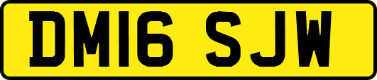 DM16SJW