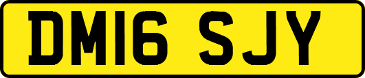 DM16SJY