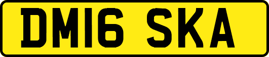 DM16SKA