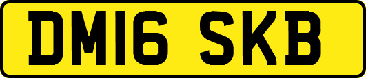 DM16SKB