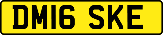 DM16SKE