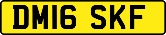 DM16SKF