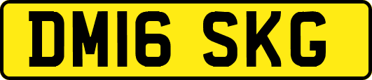 DM16SKG