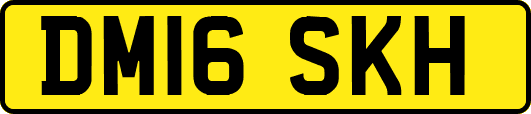 DM16SKH