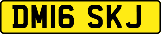 DM16SKJ