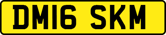 DM16SKM
