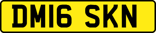 DM16SKN