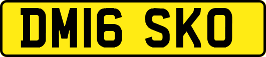 DM16SKO