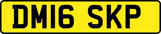 DM16SKP