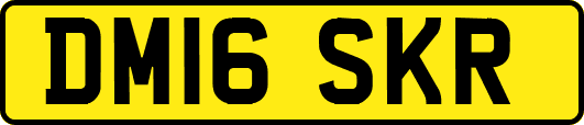 DM16SKR
