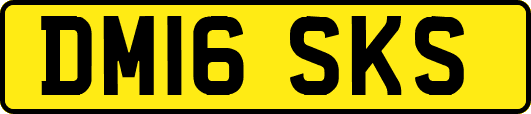 DM16SKS